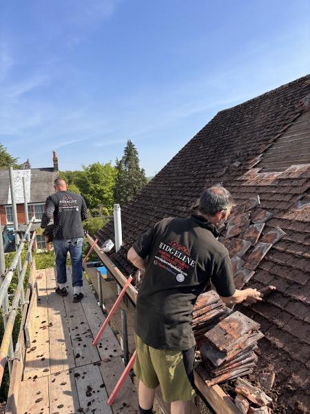 Ridgeline Roofing & Building Specialist LTD