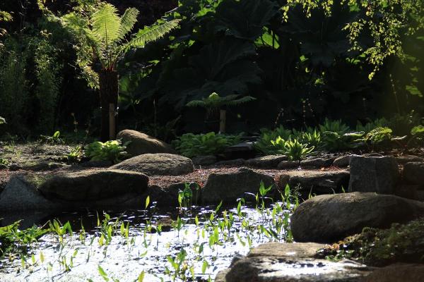 Beyond the Borders Garden Design