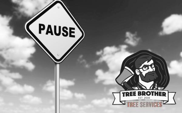 Tree Brother Ltd