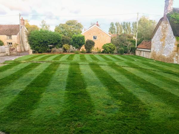 County Lawns and Trees