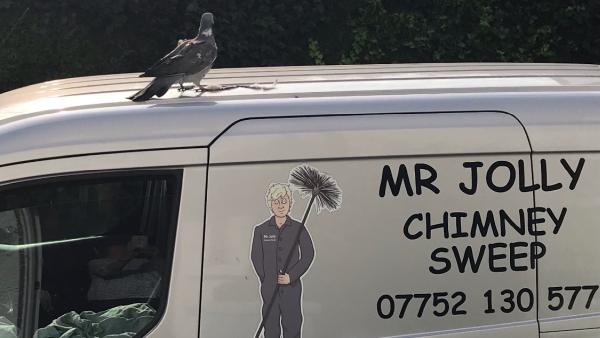 Mr Jolly Chimney Sweep