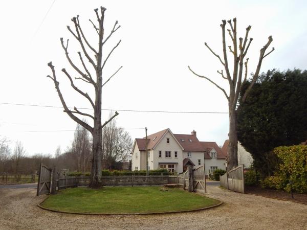 Dedham Vale Tree Surgery