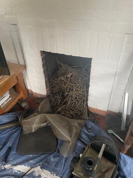 Flamecheck Chimney Sweeping and Gas Fire Repairs