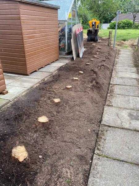 Wallace Stump Grinding co.