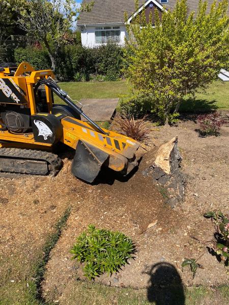 Wallace Stump Grinding co.