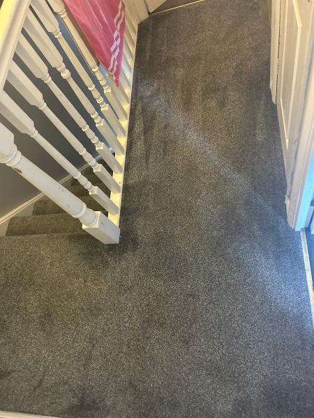 Clegg Carpet and Upholstery Cleaning