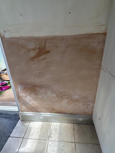 All About Damp Hull