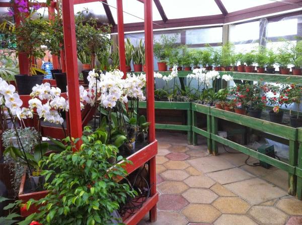 Millstone Garden Centre