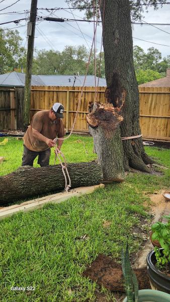 Valerio's Tree Service & More