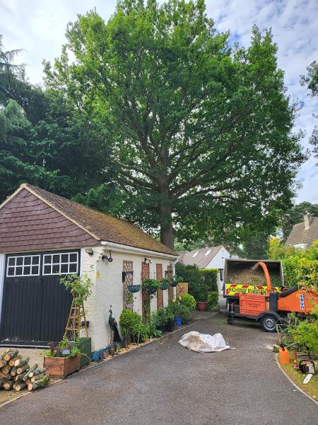 Grozev Tree Care Ltd