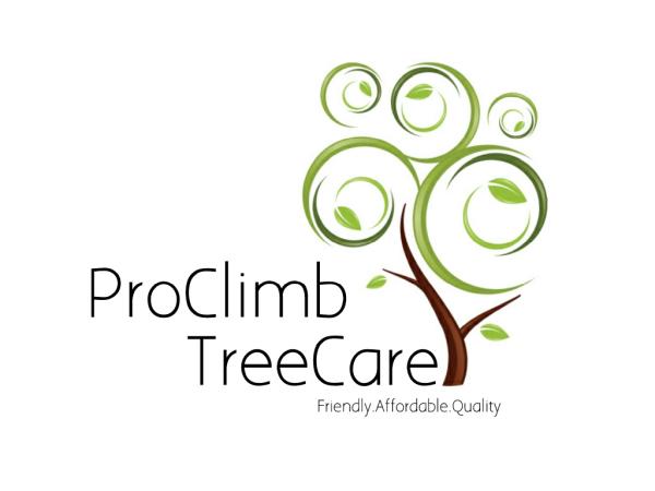 Proclimb Treecare