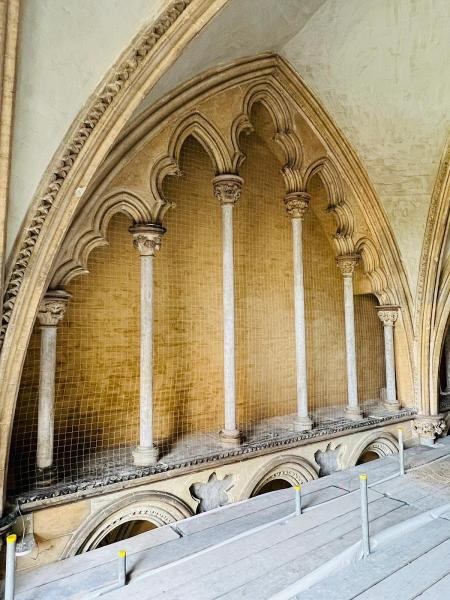 Pest Control Services Ltd