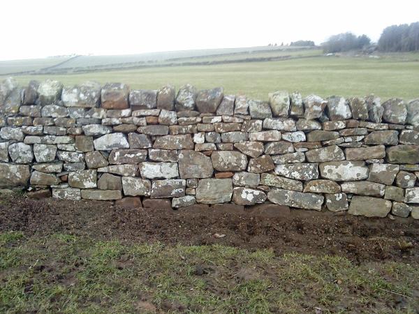 Anthony Gorman Dry Stone Walling