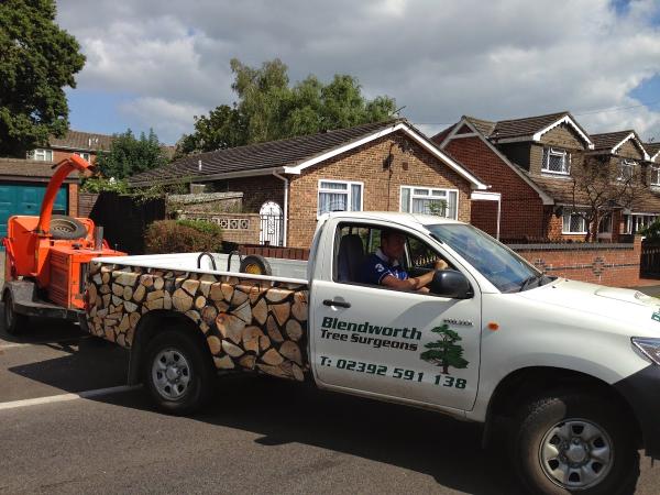 Blendworth Tree Care