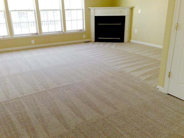 South Coast Cleaning Services