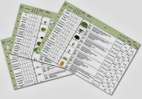 Tree Surveys & Reports