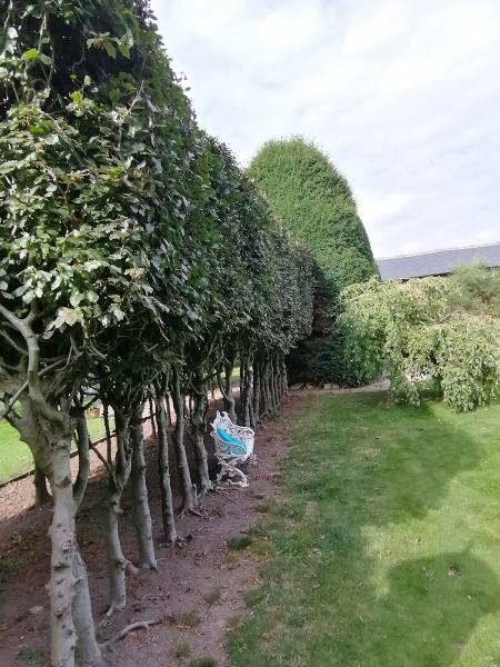 R W Bunting Farm & Grounds Maintenance