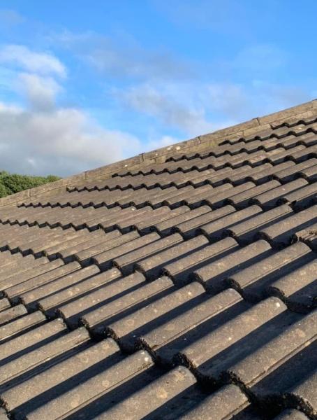 WJV Property Services