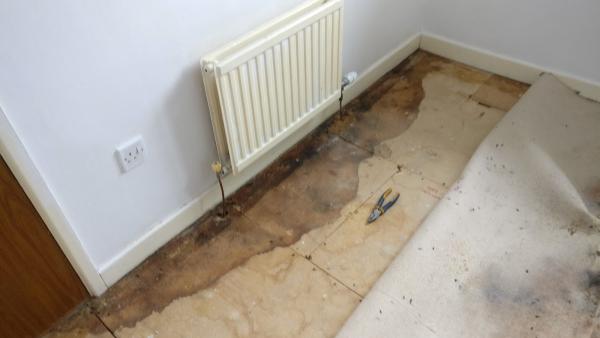 RJ Handyman Services