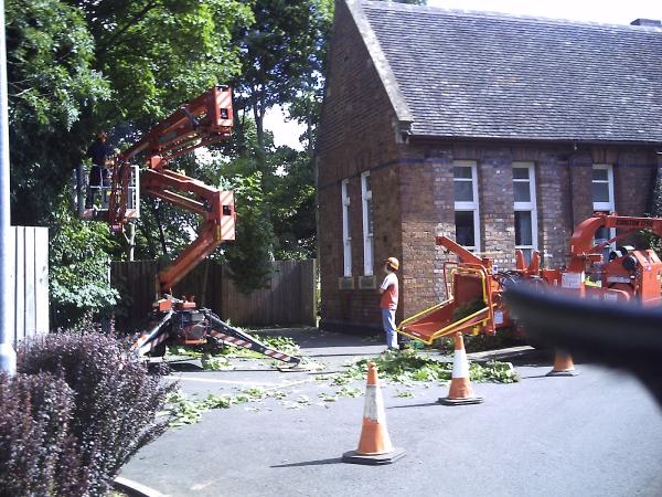 Sinclair Tree Care