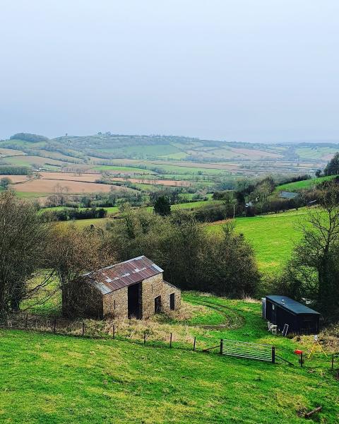 Precise Land Surveys