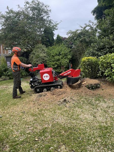 Tree Beard Tree Surgery Ltd