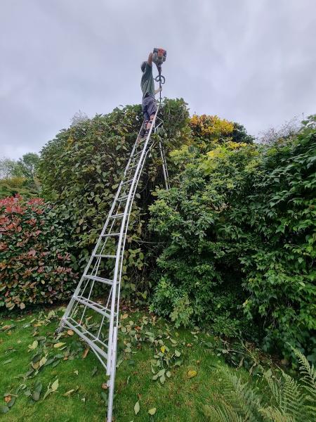 Greenscapes Tree & Garden Services