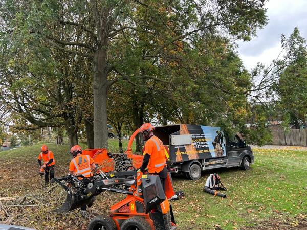 Access Tree Care