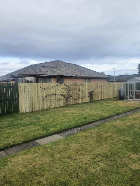 Angus Fencing and Landscapes