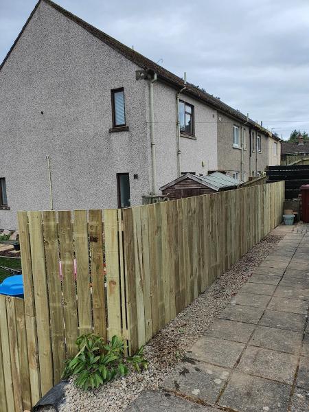 Angus Fencing and Landscapes