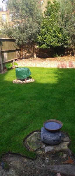 Alan Griffiths Turf Farm