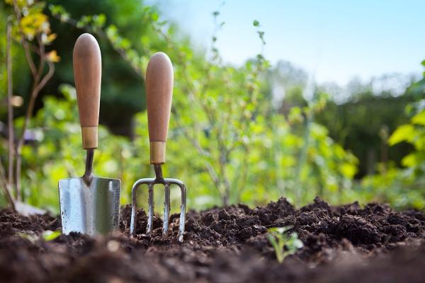 Saint Andrews Garden Maintenance