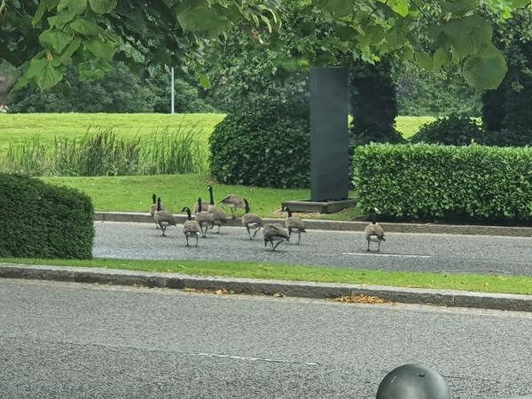 Cheadle Royal Business Park