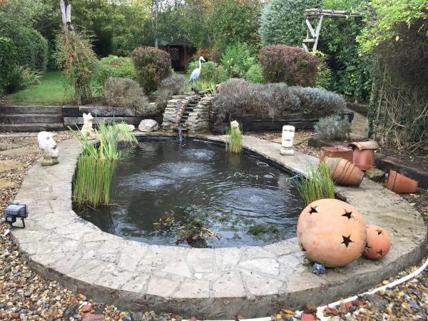 Ponds2patios (Pond Building)