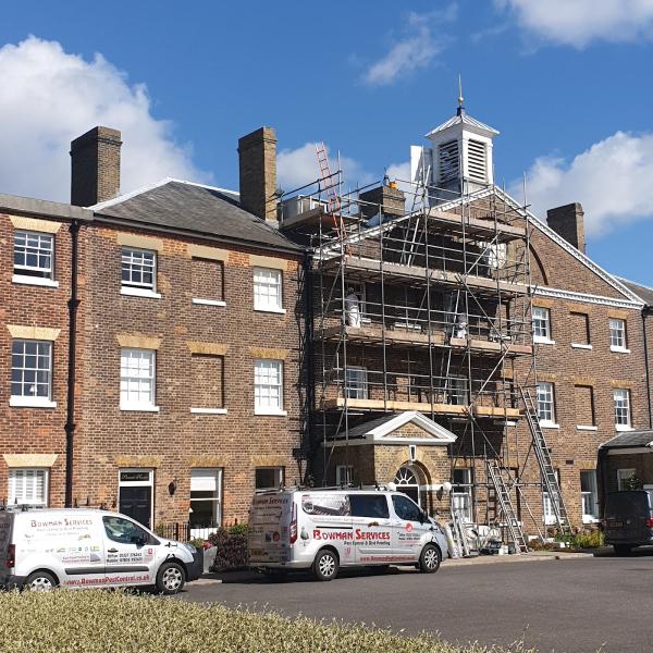 Bowman Pest Control & Bird Proofing