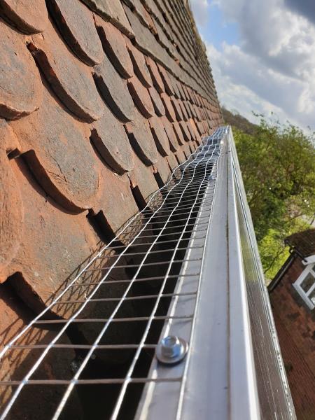 Bowman Pest Control & Bird Proofing