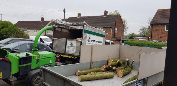 D&B Tree Services Bristol