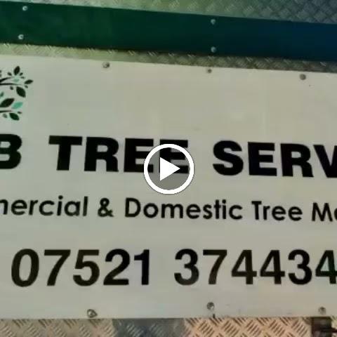 D&B Tree Services