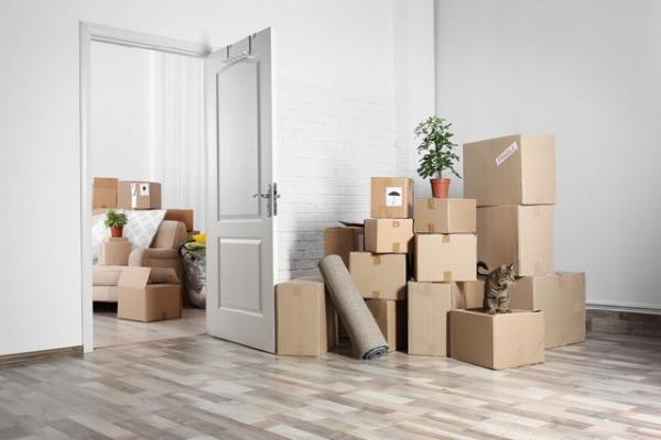 Clear 'n' Tidy Removals