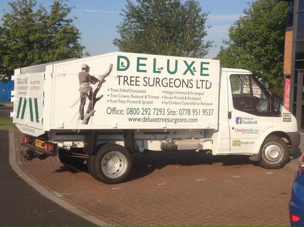 Deluxe Tree Surgeons Ltd