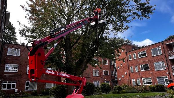 Rapid Tree Care Liverpool