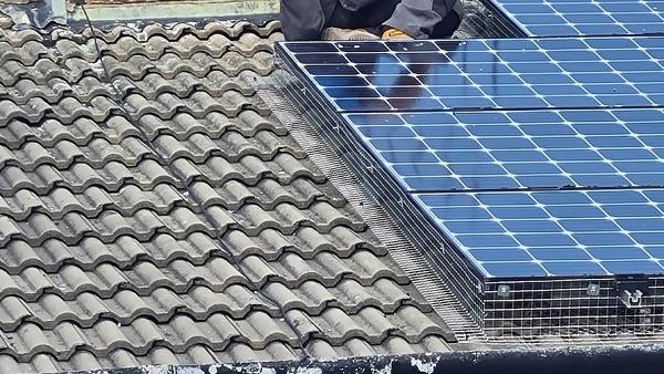 CLM Solar Pest Exclusion