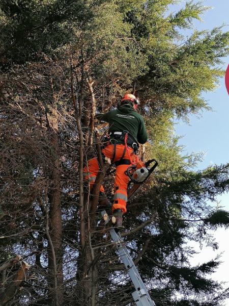 Johnson's&rose Grounds Maintenance