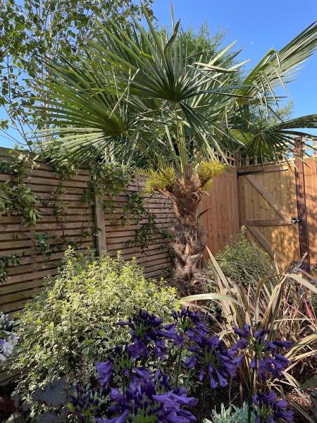 Eden Gardens Design and Maintain