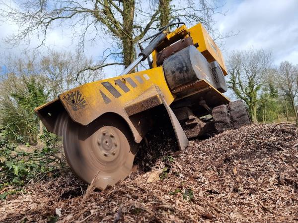 Hampshire Stump Grinding