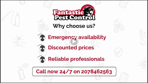 Fantastic Pest Control