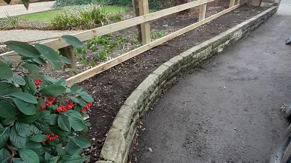 Mark Taylor Home and Garden Maintenance