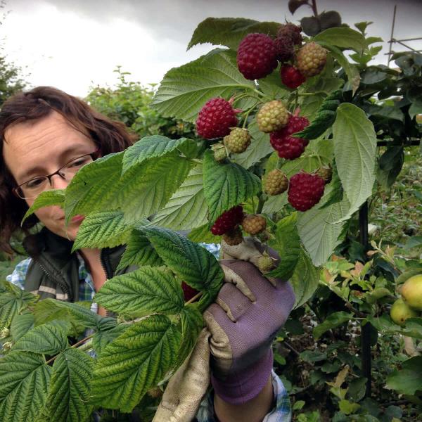 Your Gardening Angels