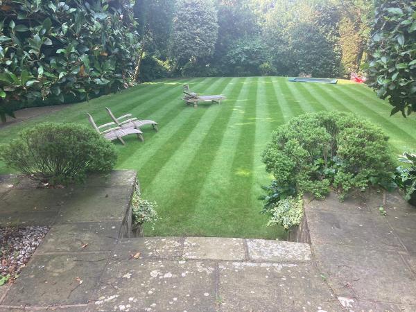 Lawncraft