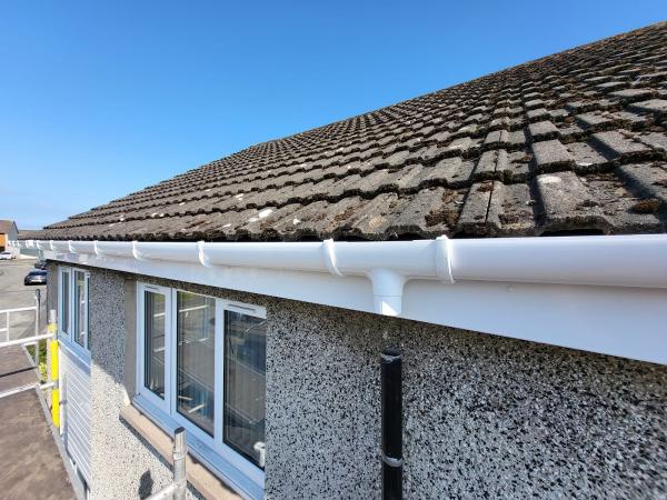 Ogilvie Roofline & Flat Roof Specialists